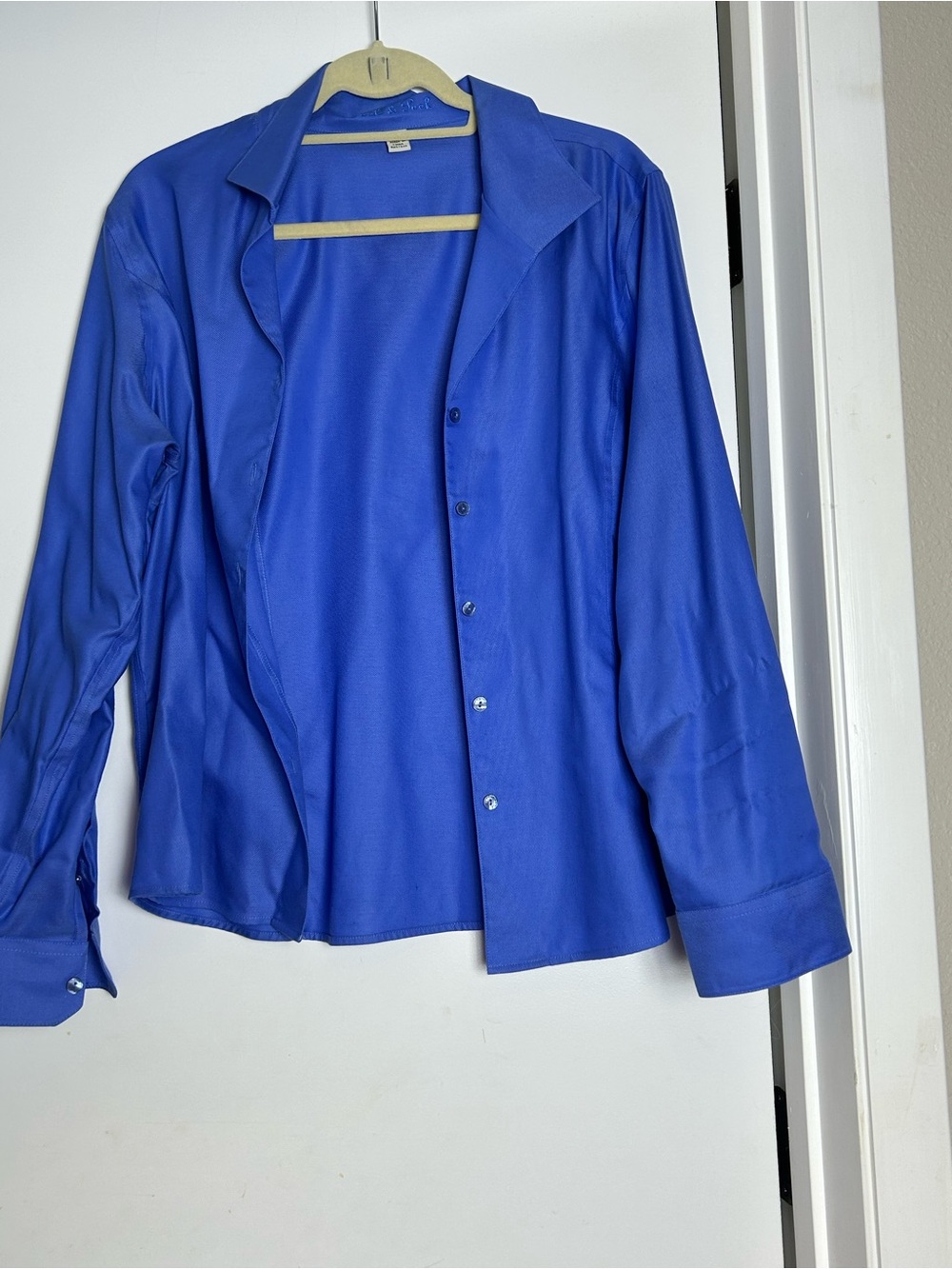 Peck & Peck Men's Button-Up Shirt in Royal Blue